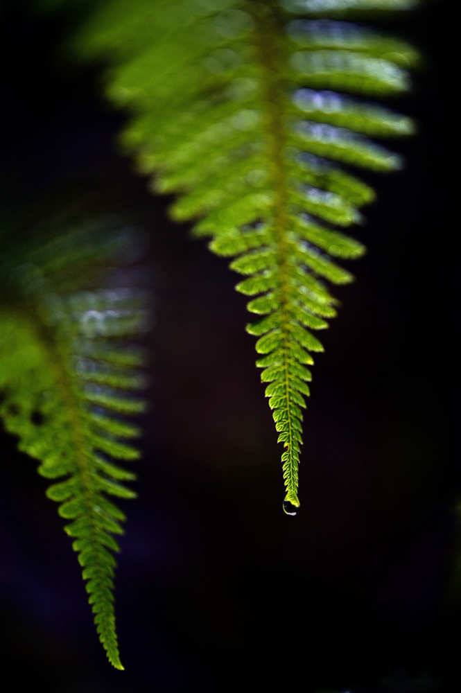 2. Platz Robert Seitz
